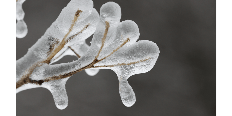 tab-NJHistory_SnowMelt